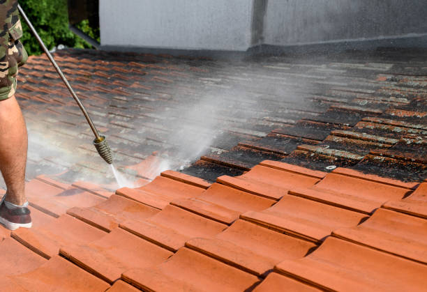 Best Exterior Home Cleaning  in Melrose Park, NY